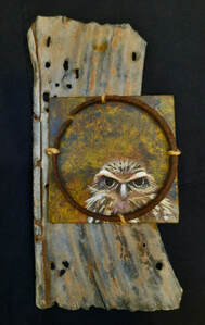 Sonoran Desert, Burrowing Owls, Acrylic Paintings